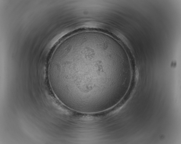 X0000112960829200909031019