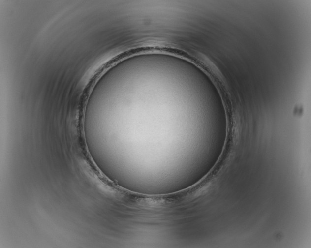 X0000112960831200909031019