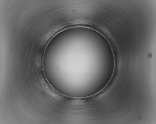 X0000112960833200909031019