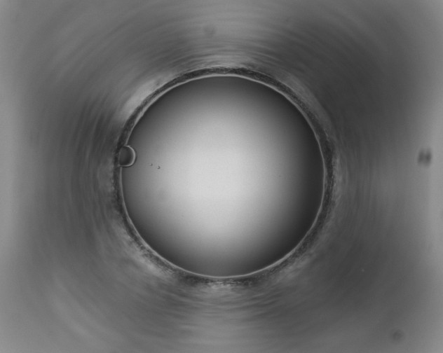 X0000112960834200909031019