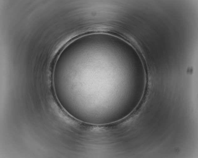 X0000112960835200909031020