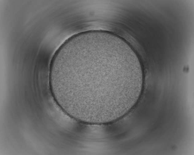 X0000112960836200909031020