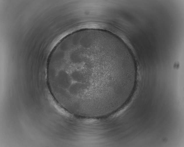 X0000112960837200909031020