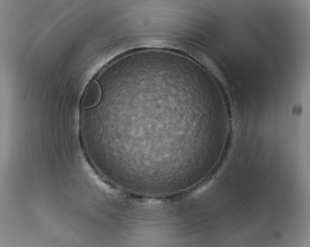 X0000112960839200909031020