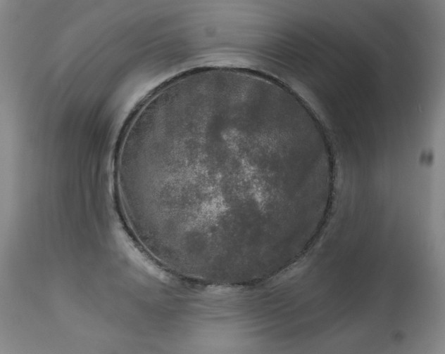 X0000112960840200909031020