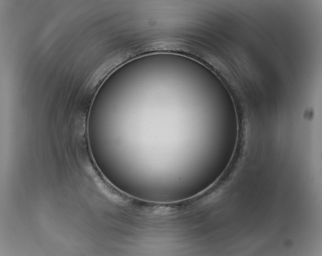 X0000112960841200909031020