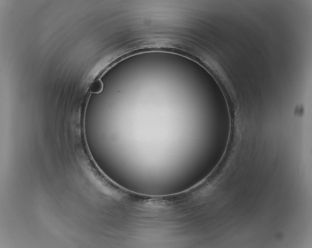 X0000112960842200909031020