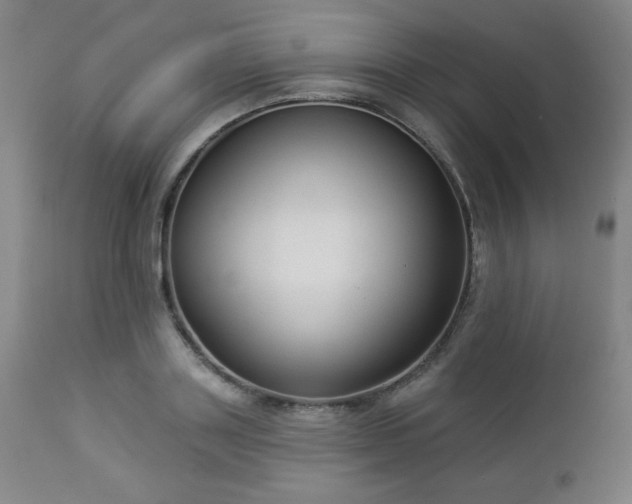 X0000112960843200909031020