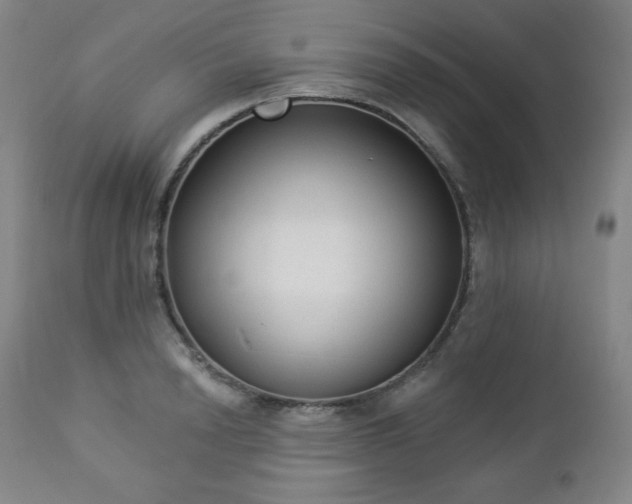 X0000112960846200909031020