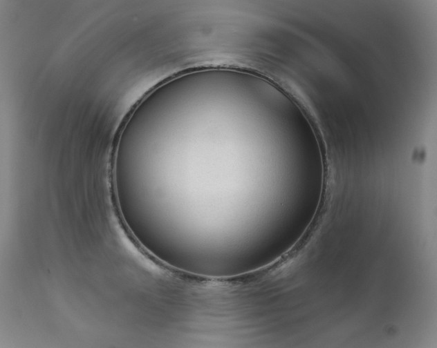 X0000112960847200909031020