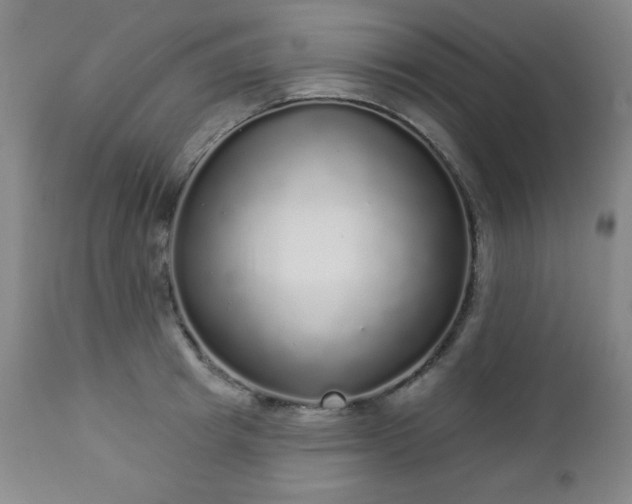 X0000112960849200909031020