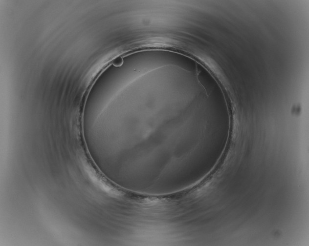 X0000112960850200909031020