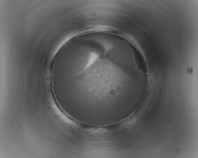 X0000112960851200909031020