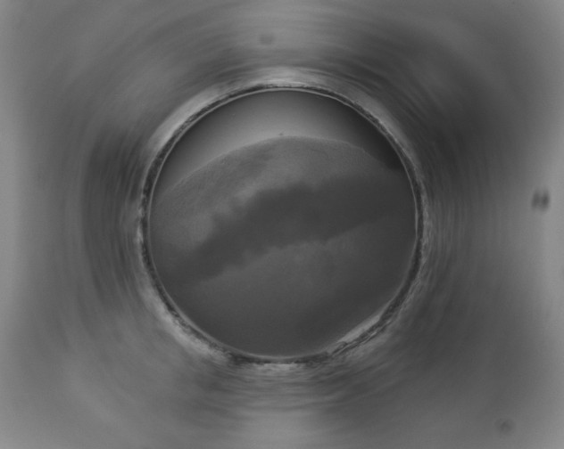 X0000112960853200909031020