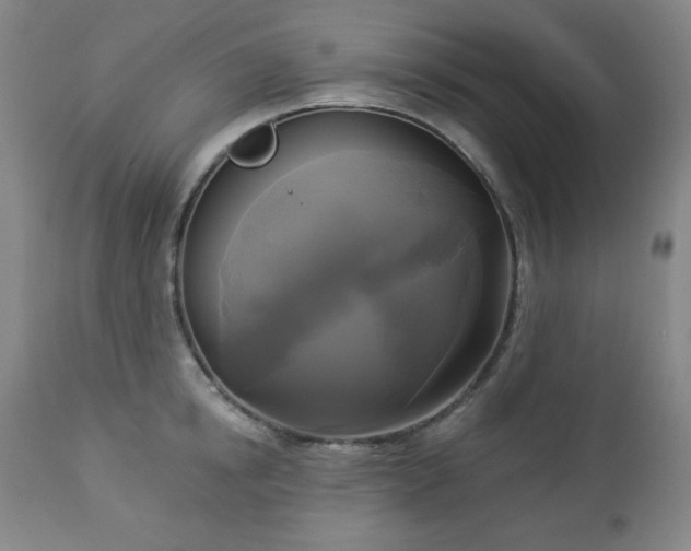 X0000112960854200909031020