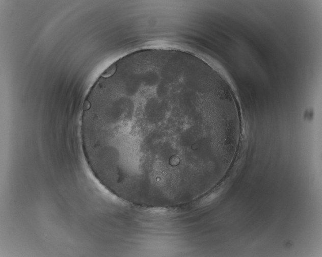 X0000112960855200909031020