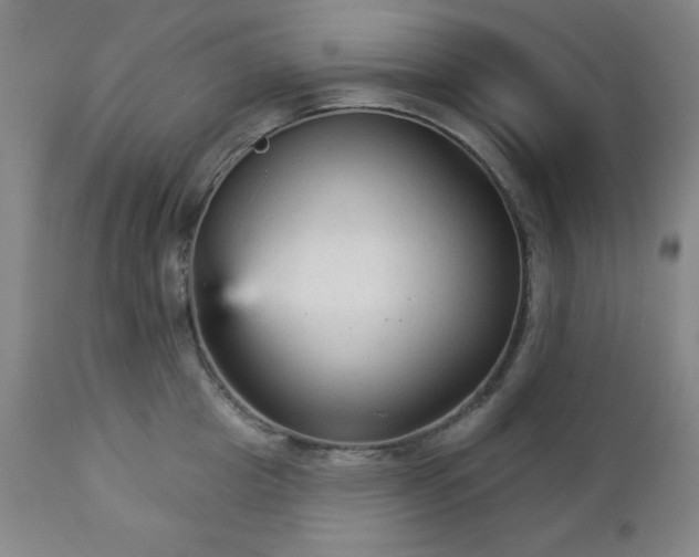 X0000112960857200909031020