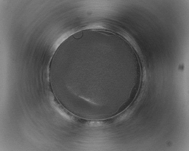 X0000112960858200909031020