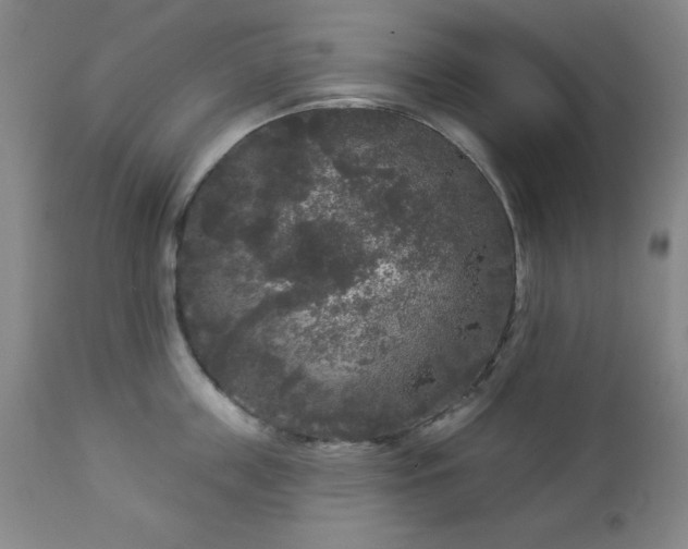 X0000112960859200909031020