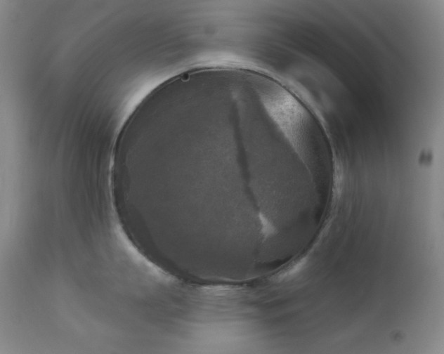 X0000112960863200909031020