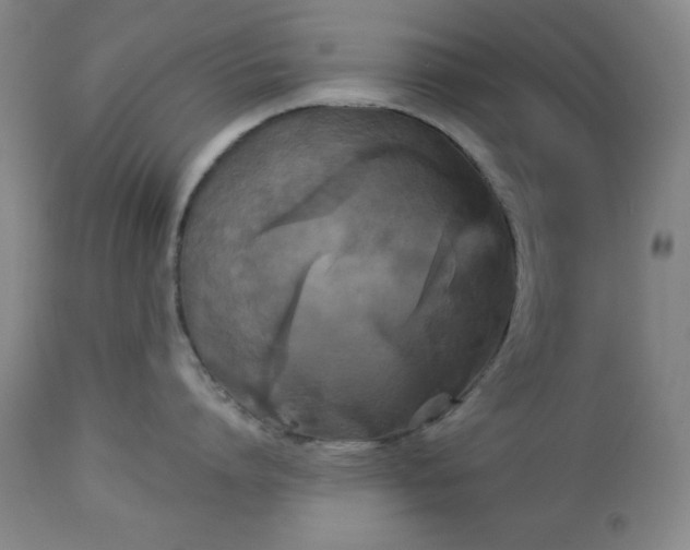 X0000112960864200909031020