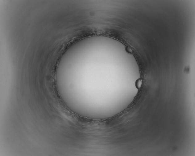 X0000112960865200909031019