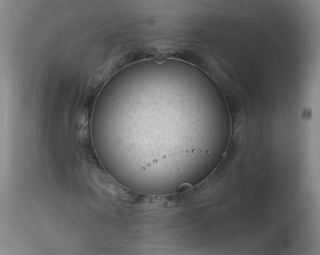 X0000112960866200909031019