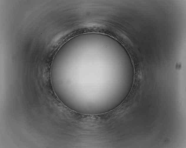 X0000112960869200909031019