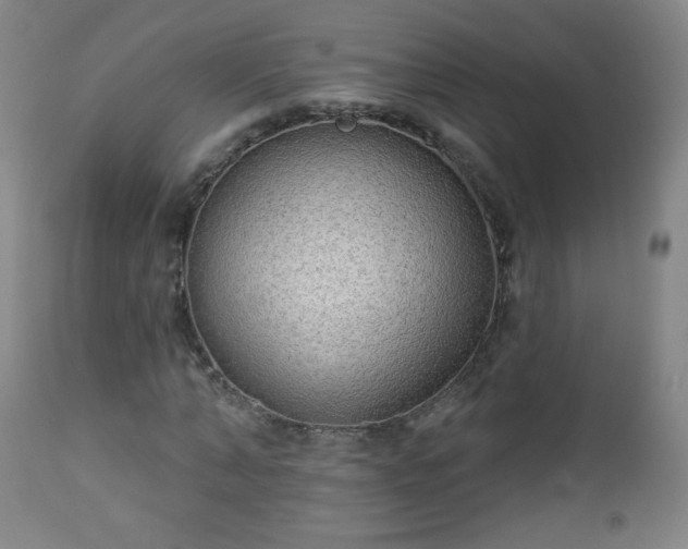 X0000112960870200909031019