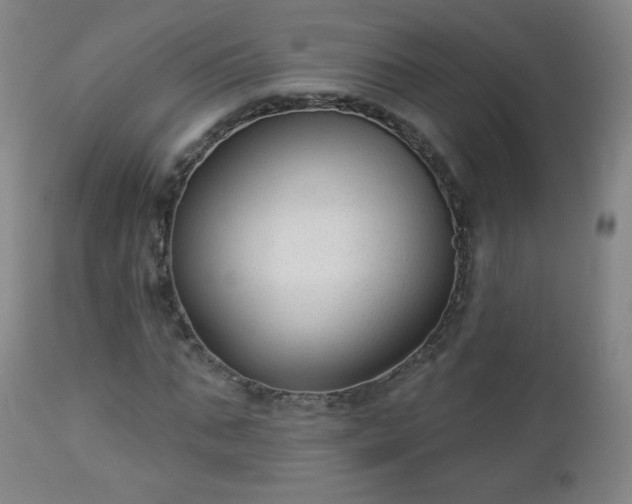 X0000112960871200909031019