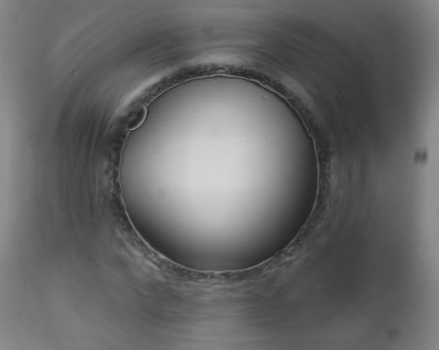 X0000112960872200909031019