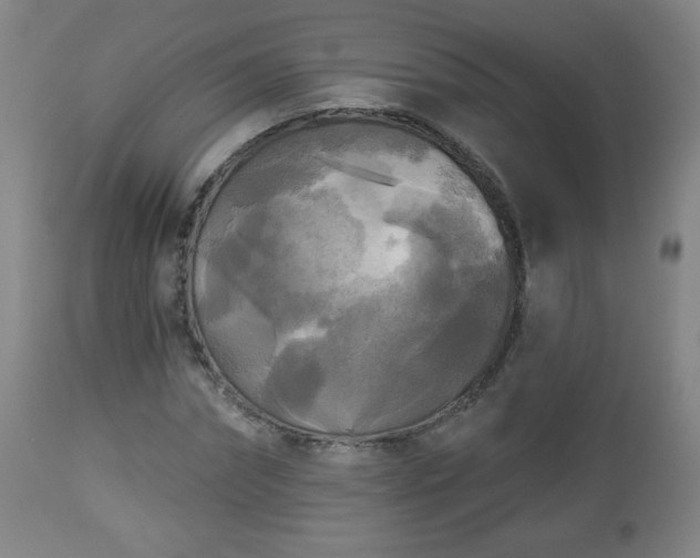 X0000112960874200909031019