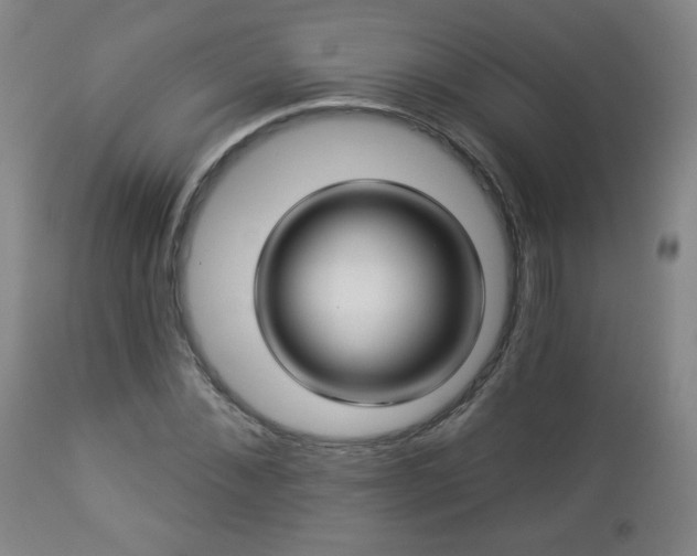 X0000112960876200909031019