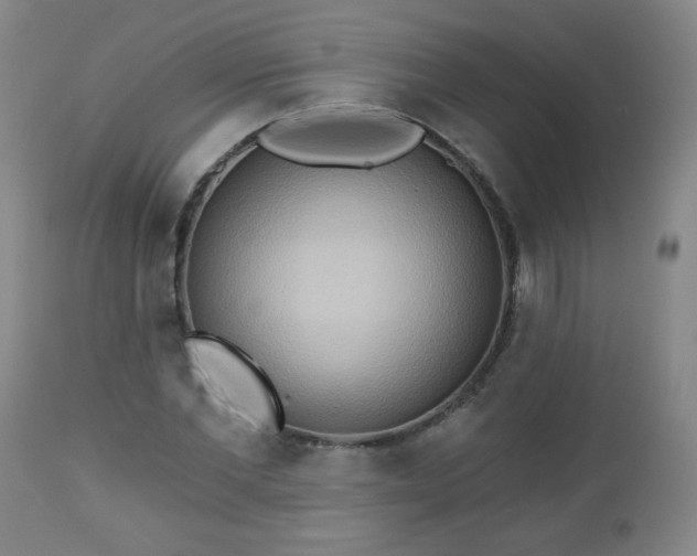 X0000112960877200909031019