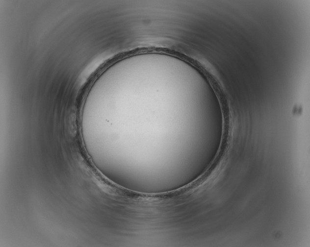 X0000112960878200909031019