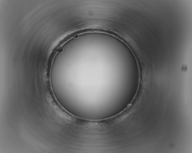 X0000112960880200909031019