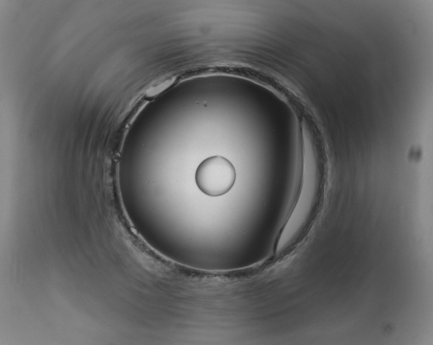 X0000112960881200909031019