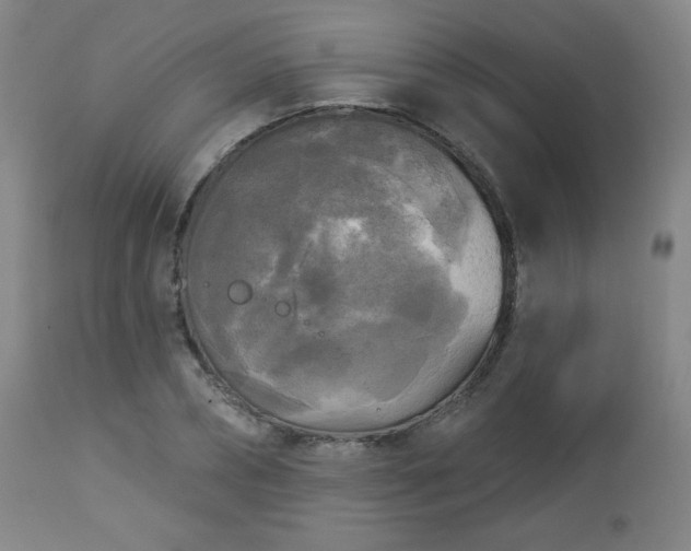 X0000112960882200909031019