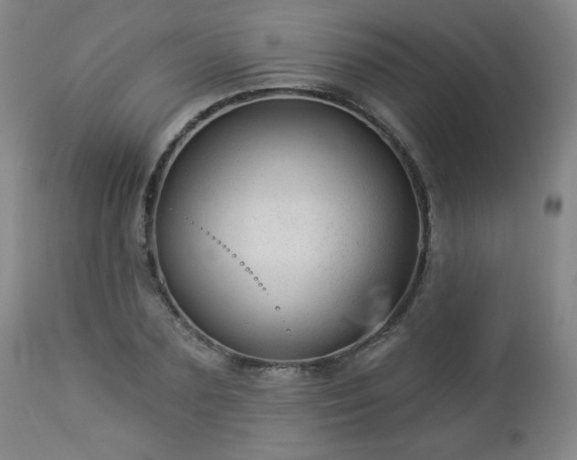 X0000112960883200909031019