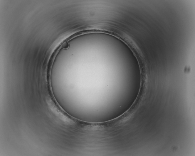 X0000112960884200909031019