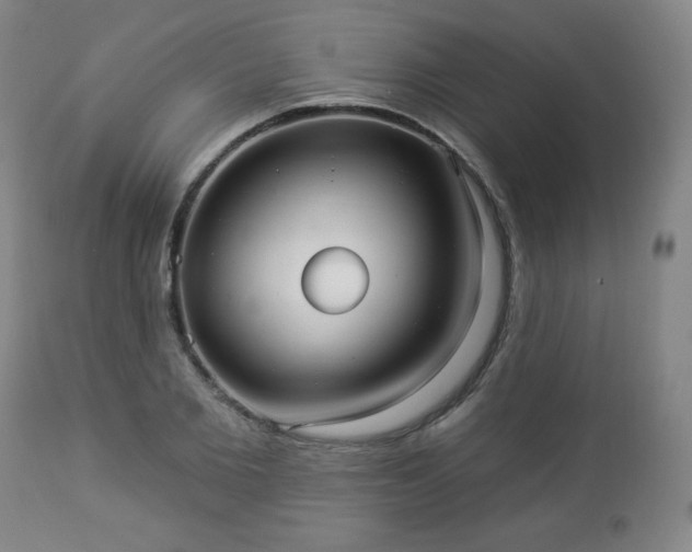 X0000112960885200909031019