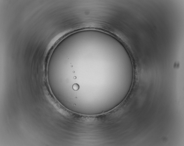 X0000112960886200909031019