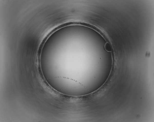 X0000112960887200909031019