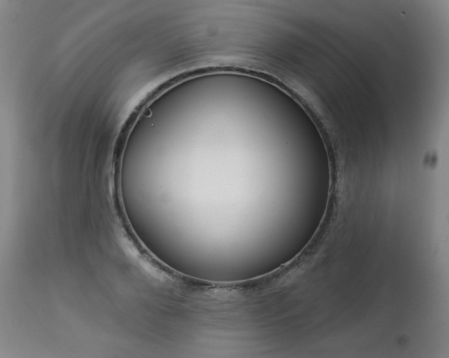 X0000112960888200909031019