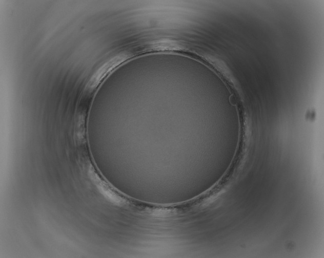 X0000112960889200909031019