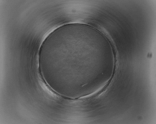 X0000112960892200909031019