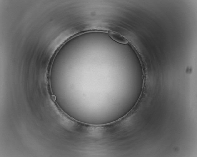 X0000112960893200909031019