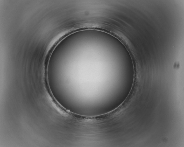 X0000112960894200909031019