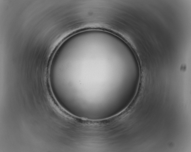 X0000112960895200909031019