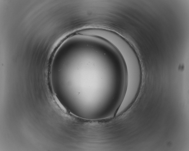 X0000112960896200909031019